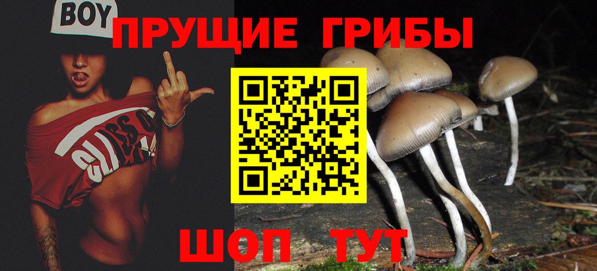 Галлюциногенные грибы GOLDEN TEACHER Волжск